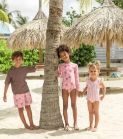 Boys' Chocolate Sustainable Short Sleeve Rashguard (Toddler, Little Kid, Big Kid) -Volcom Sportswear Shop 7652780048552 brown 5a